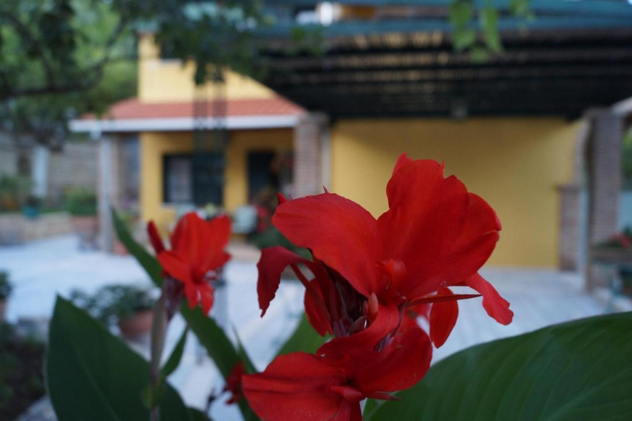Villa Sofia Parga Exterior foto